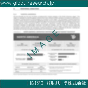 グローバルリサーチ調査資料のイメージ